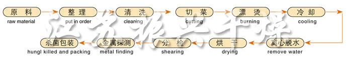 DWC系列脱水蔬菜带式干燥机工艺流程图