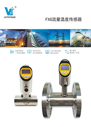 FXG流量温度传感器-1.jpg