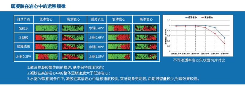 高温高压核磁共振成像分析仪-定制产品