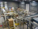 Palletizing systems for bags