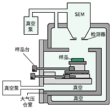 图2：低真空观察时