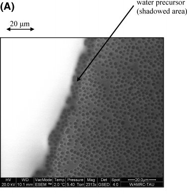 095214_551393_jswz.png
