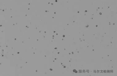 091027_968889_jsue_jswz.png